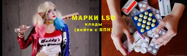 мяу мяу мука Нея