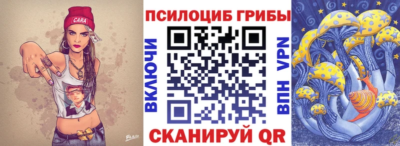 сайты даркнета как зайти  Чусовой  Псилоцибиновые грибы MAGIC MUSHROOMS  сколько стоит 